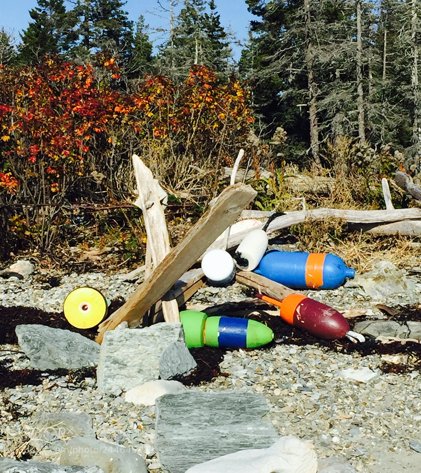 Apple iPhone 6 sample photo. Colorful bouys photography