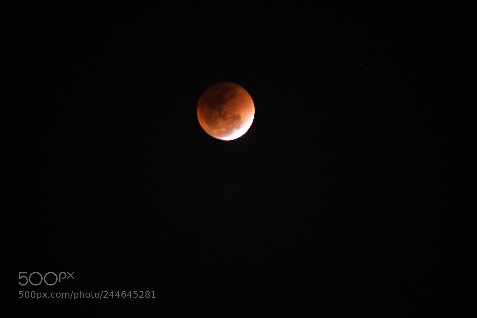 Sony SLT-A58 sample photo. #superbluebloodmoon photography
