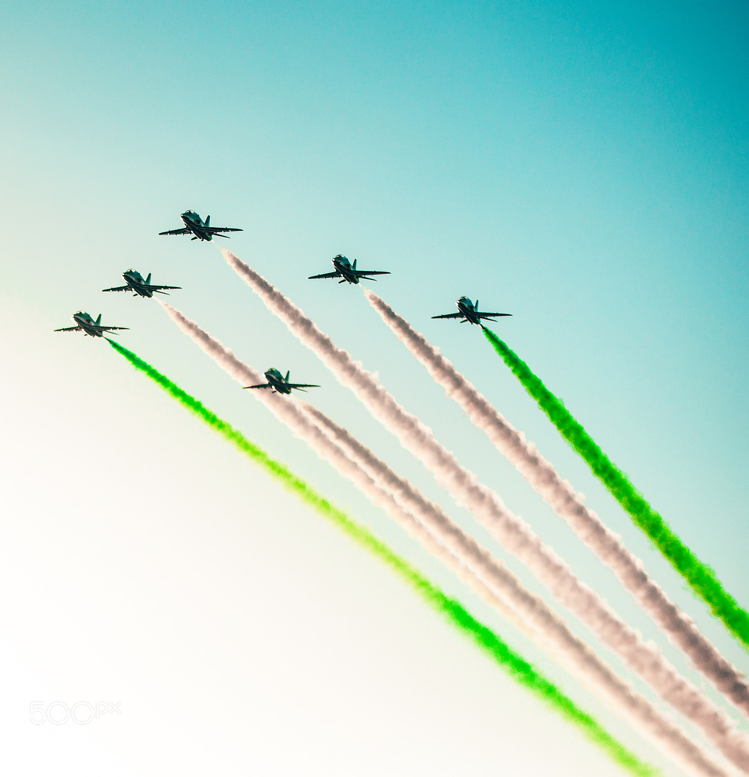 Canon EOS-1D X sample photo. Saudi hawks photography