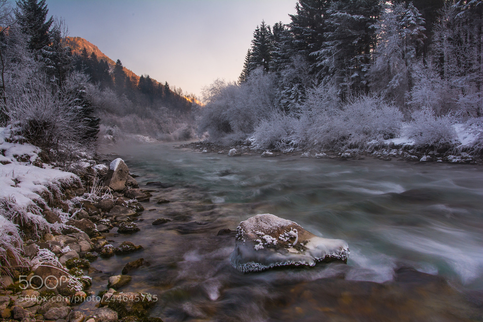 Nikon D7100 sample photo. Freezing fog over the photography