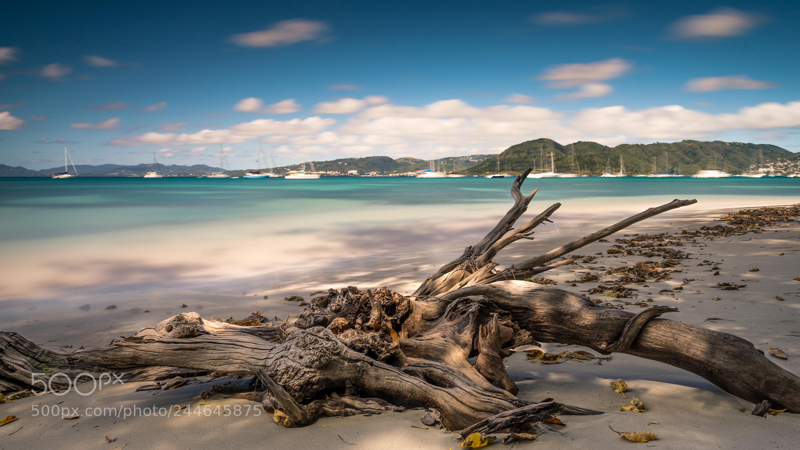 Sony a7R sample photo. Anse caritan photography
