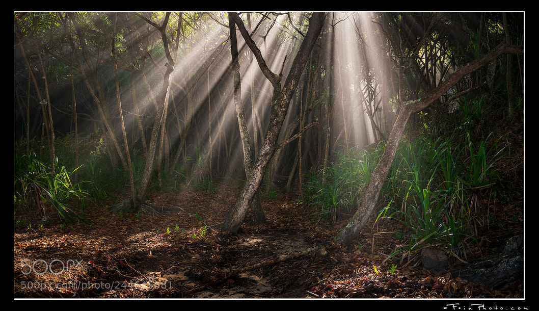 Nikon D800 sample photo. Holy hala photography