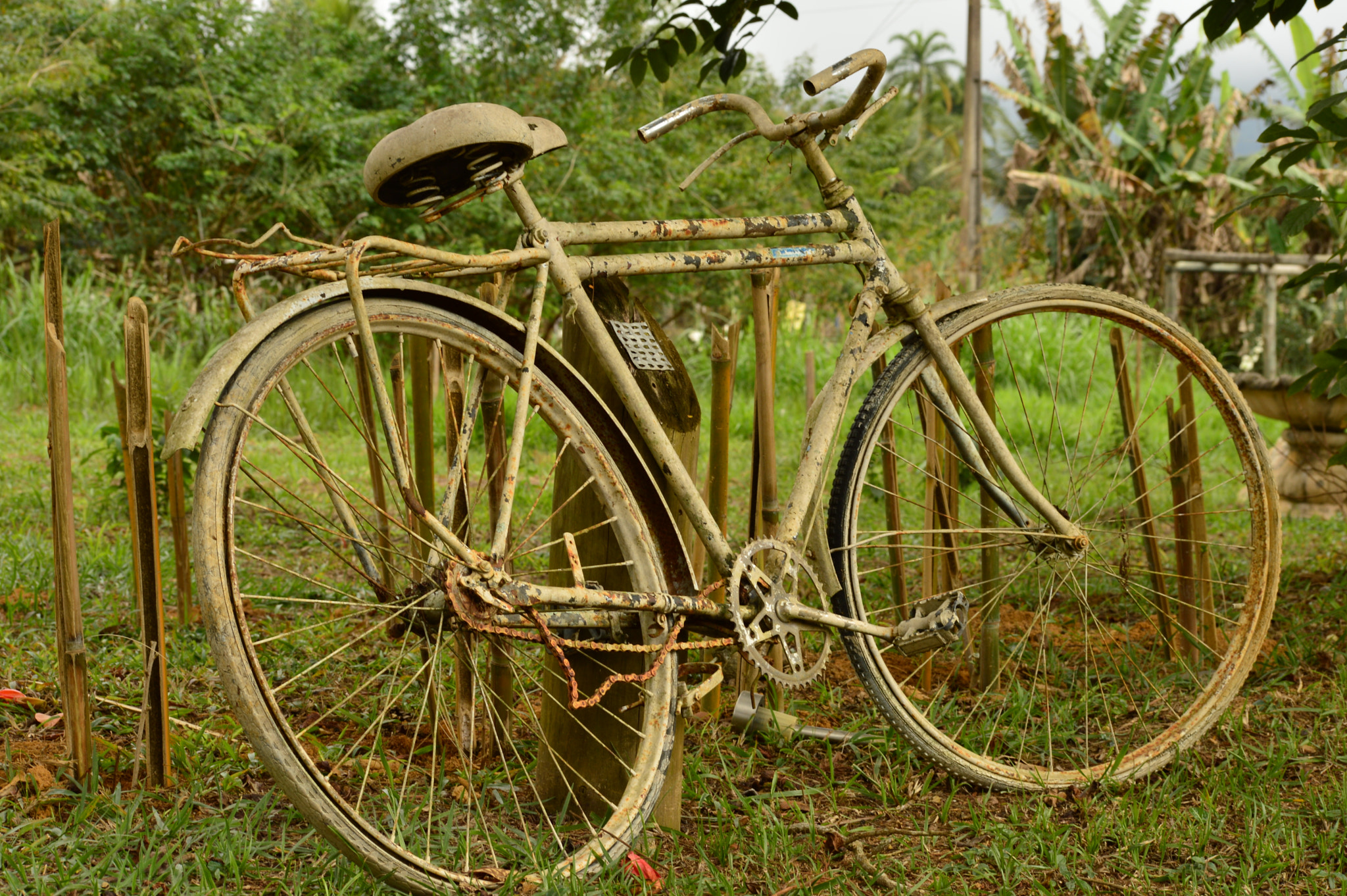 Nikon D3200 sample photo. Old bike photography