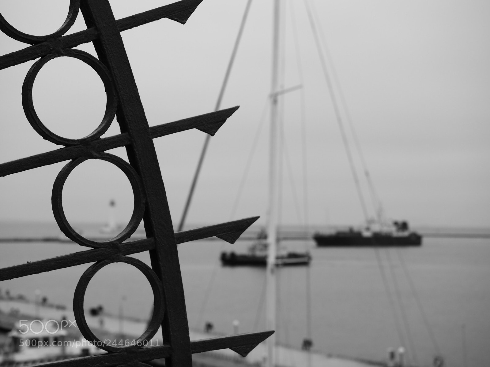 Olympus OM-D E-M1 Mark II sample photo. Из-за изгороди photography