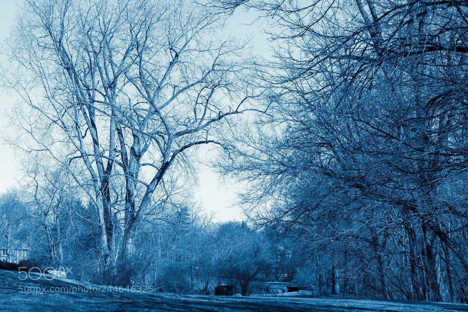 Nikon D810 sample photo. Long distance voyager photography