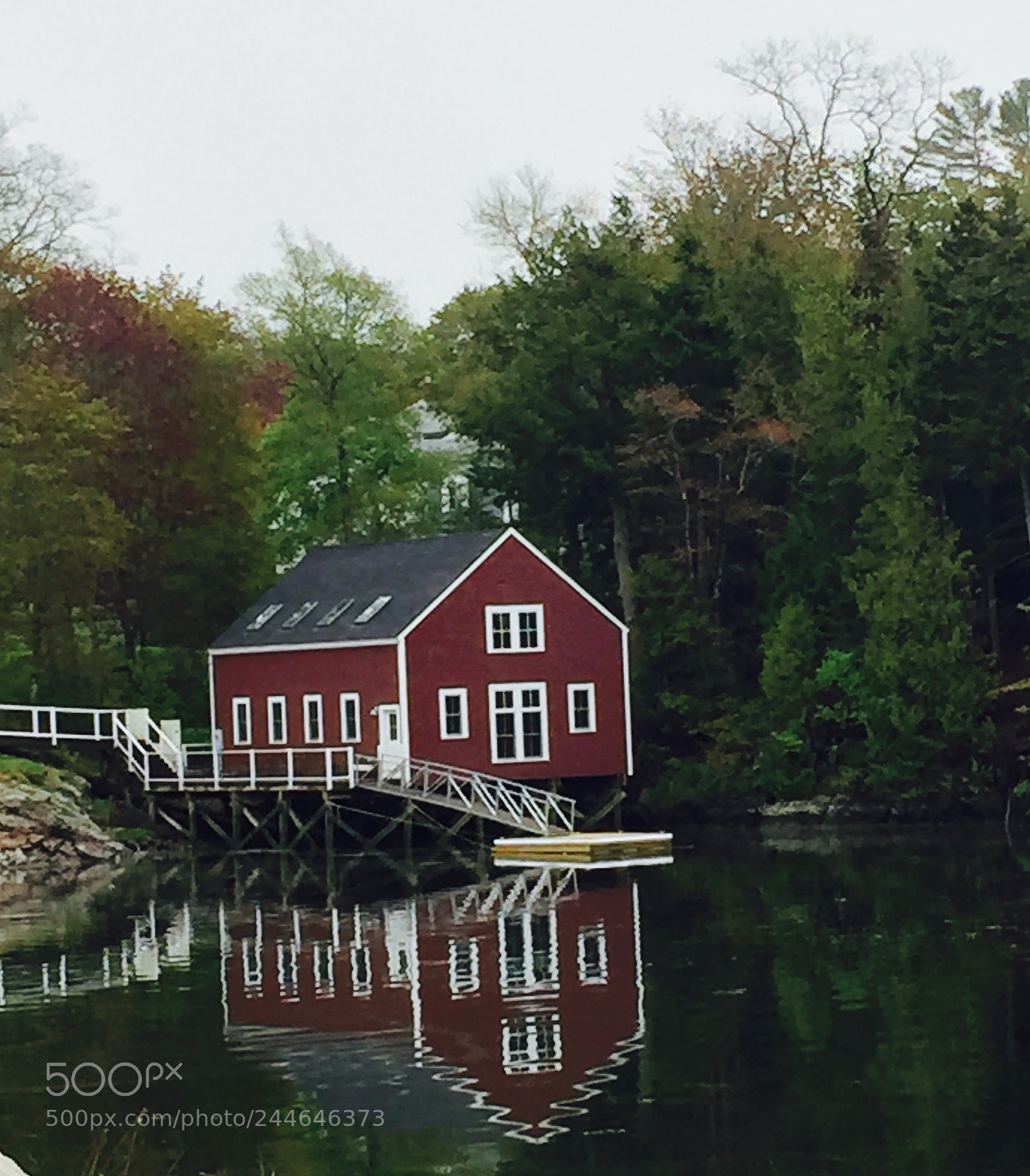 Apple iPhone 6 sample photo. The reflection photography