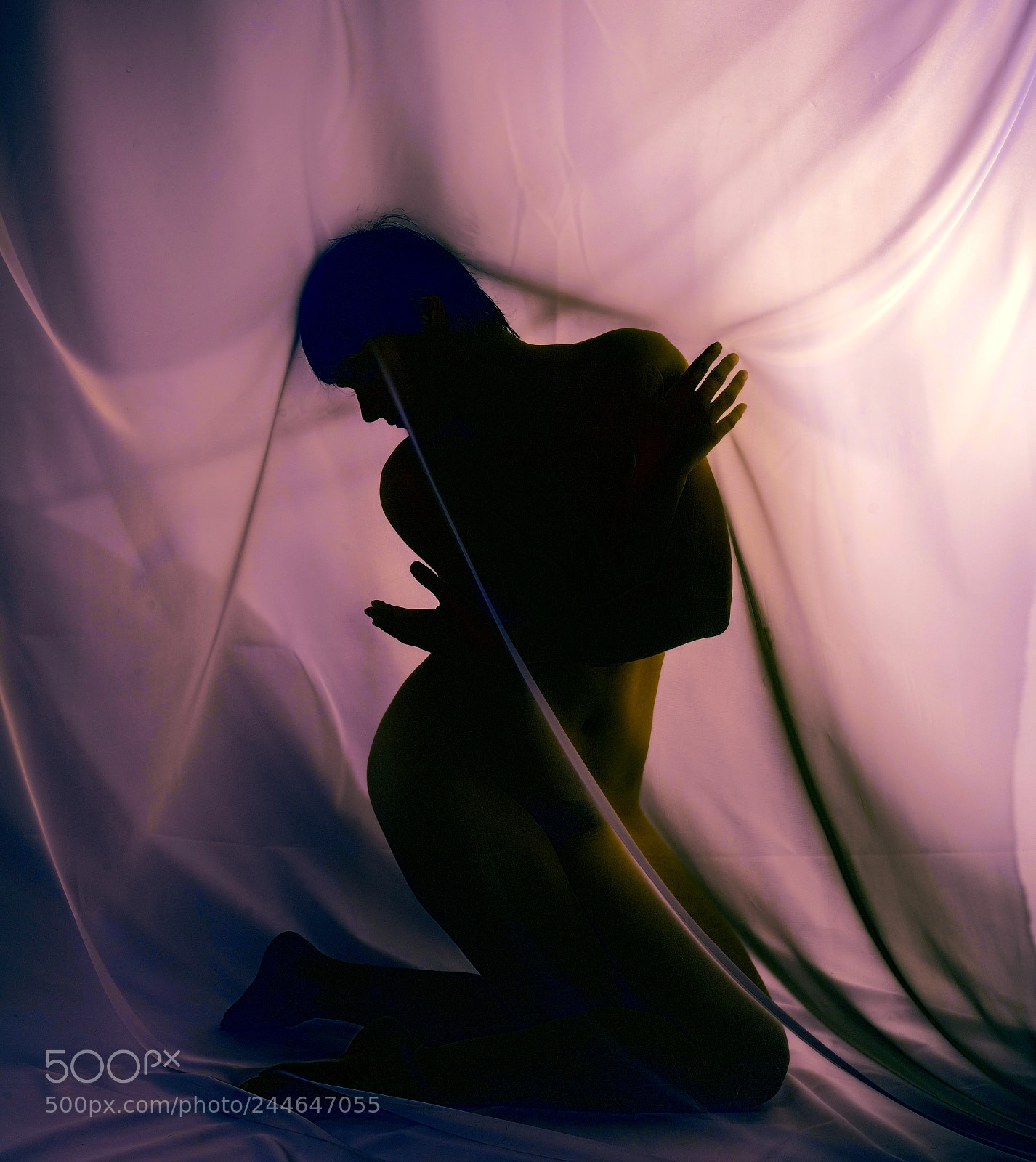 Nikon D800 sample photo. Veiled in hot pink photography