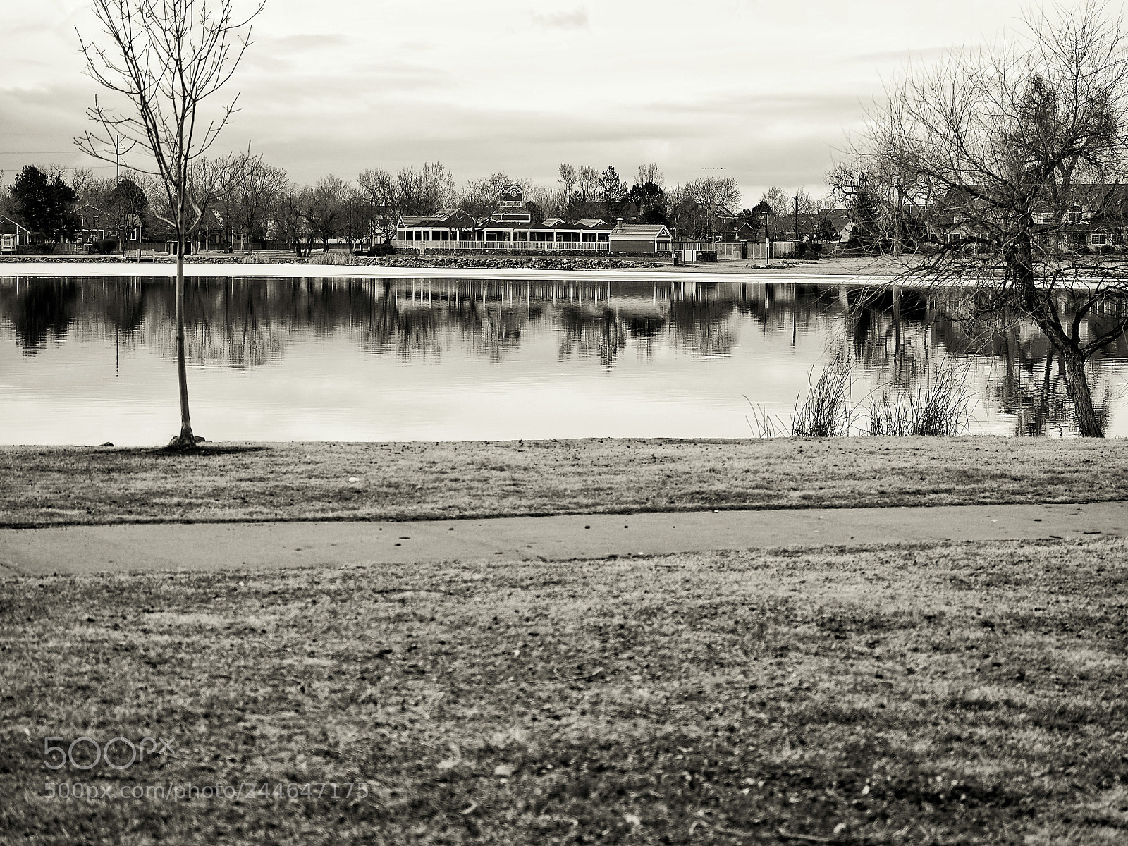 Olympus OM-D E-M10 II sample photo. House on the pond photography