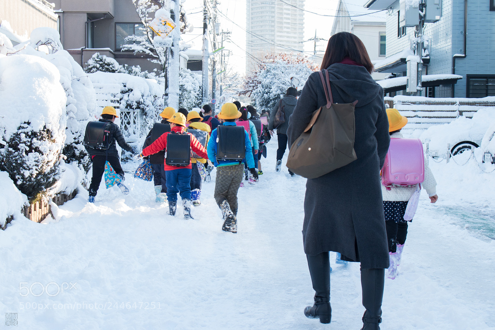 Canon EOS 70D sample photo. Tokyo winter morning photography