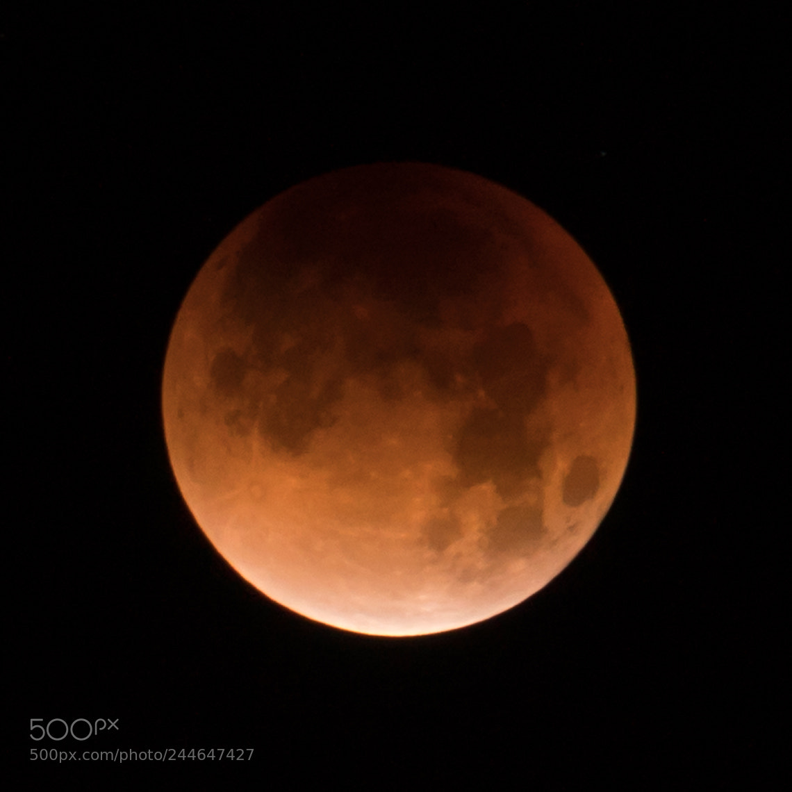 Sony a6300 sample photo. Super blood blue moon photography