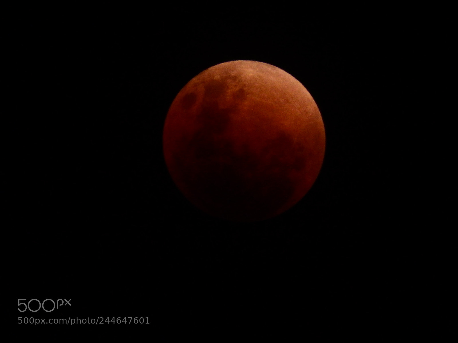 Fujifilm FinePix SL1000 sample photo. Super blue blood moon photography