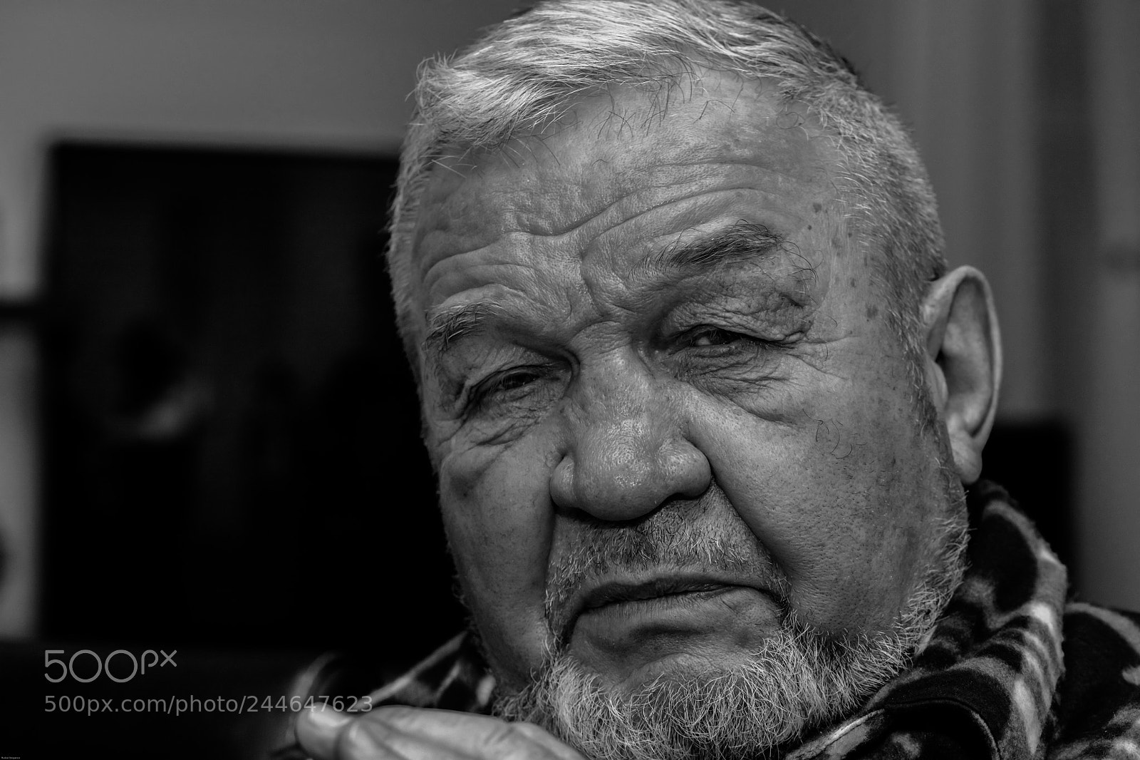 Canon EOS 5DS R sample photo. .. photography