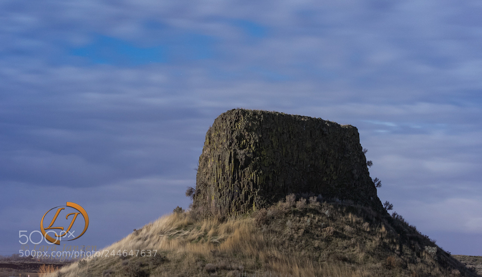 Nikon D7200 sample photo. A close view of photography
