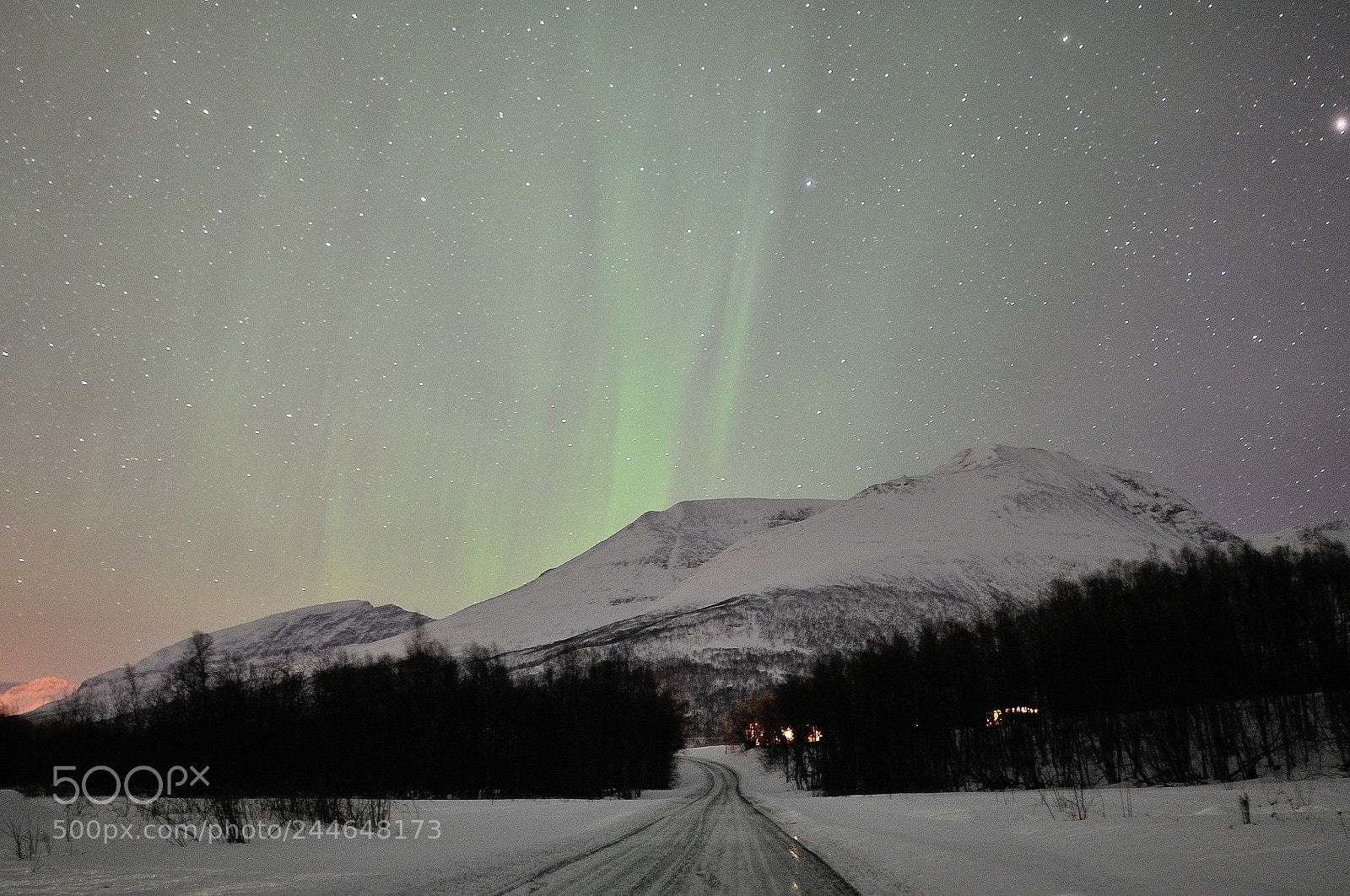 Nikon D300 sample photo. Northern lights over nordkjosbotn photography