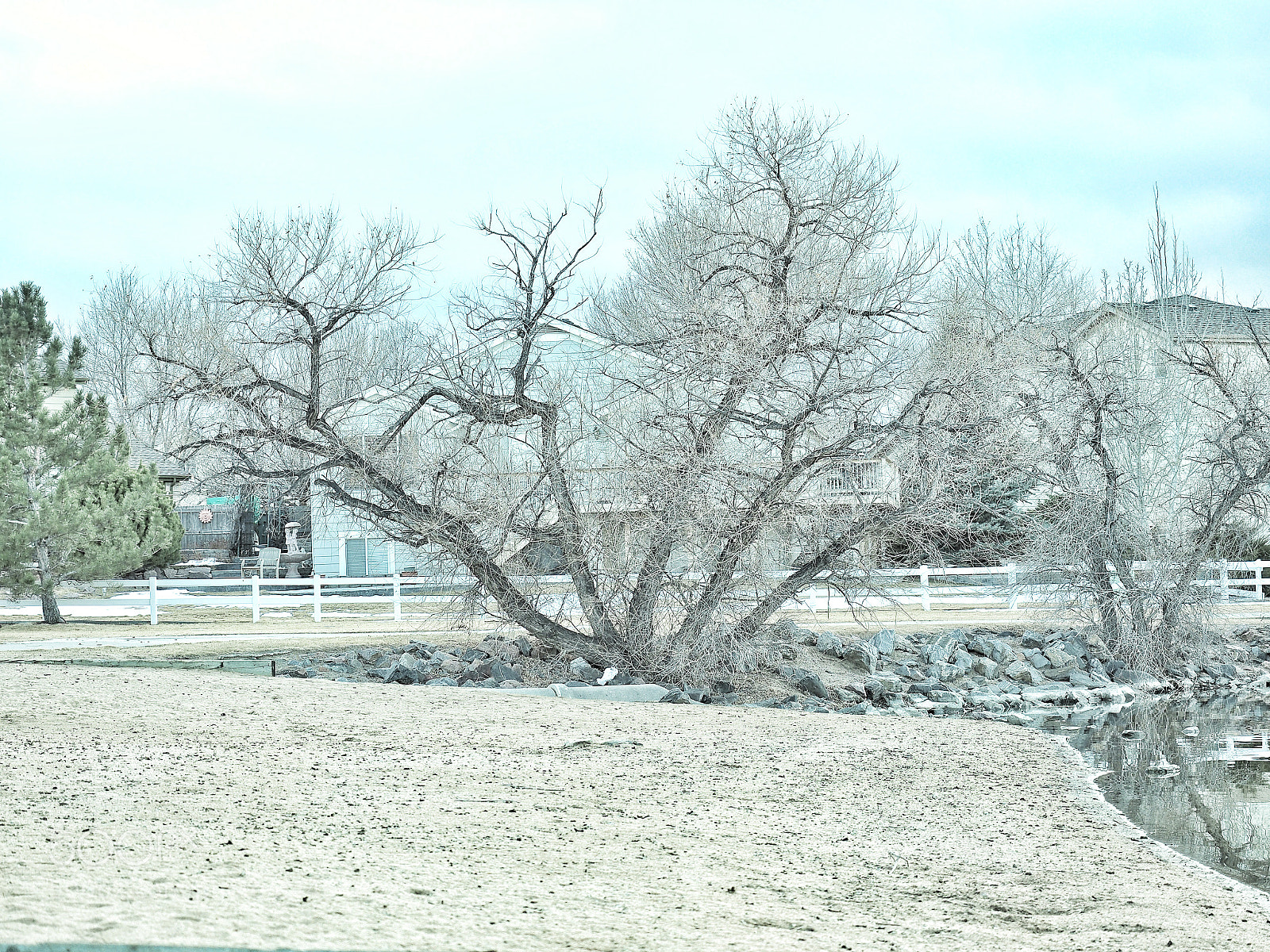 Olympus OM-D E-M10 II sample photo. Winter day by the photography