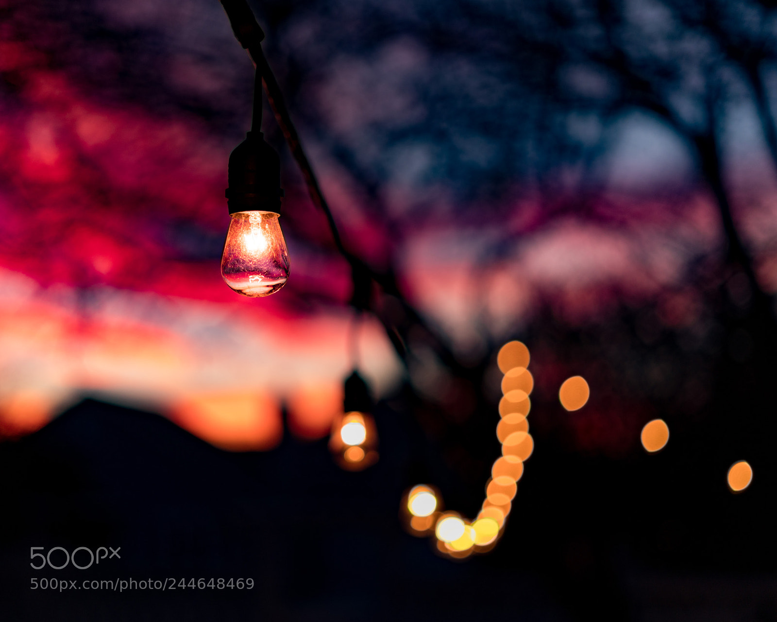 Sony a7R II sample photo. Color photography