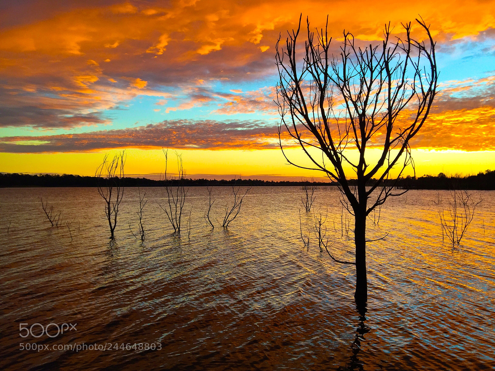 Apple iPhone 6 sample photo. Forgan cove, lake samsonvale photography