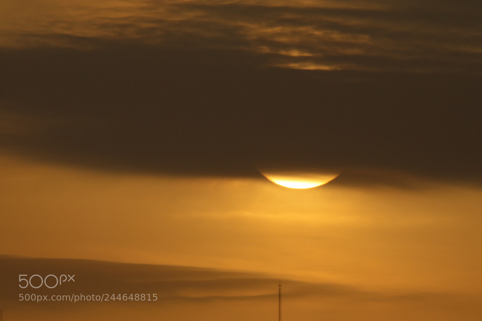 Tamron SP 150-600mm F5-6.3 Di VC USD sample photo. 落日的余辉the sunset photography