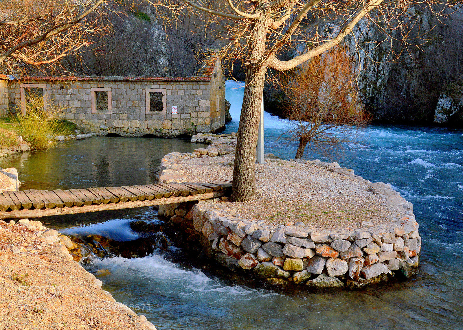 Nikon D3200 sample photo. Ruda photography