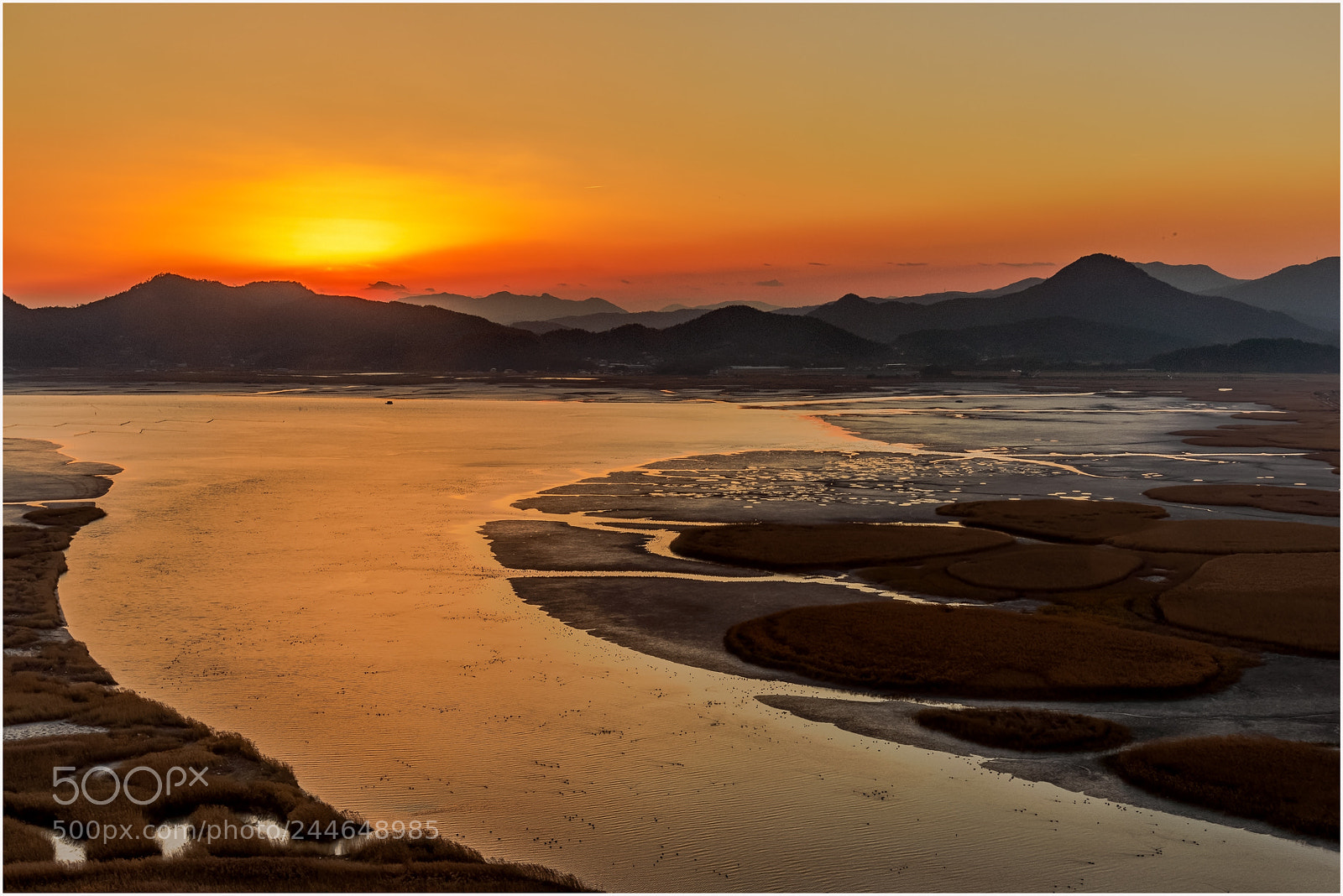 Nikon D800 sample photo. Sunset in suncheon bay photography
