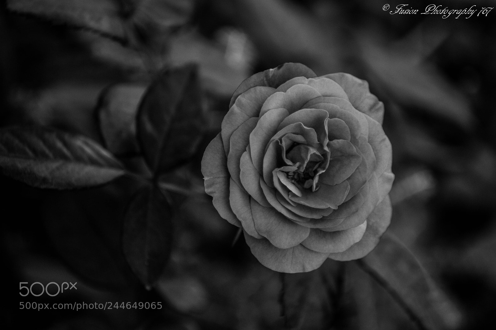 Nikon D3200 sample photo. Be yourself and still photography
