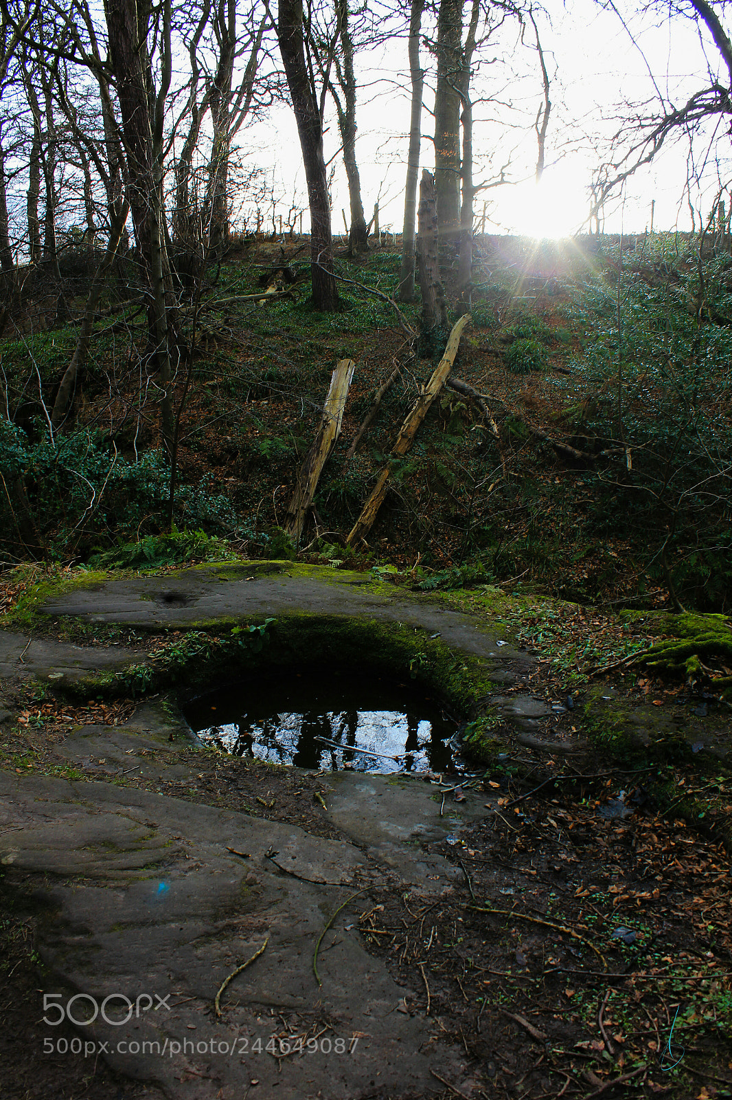 Canon EOS 550D (EOS Rebel T2i / EOS Kiss X4) sample photo. Dunino den photography