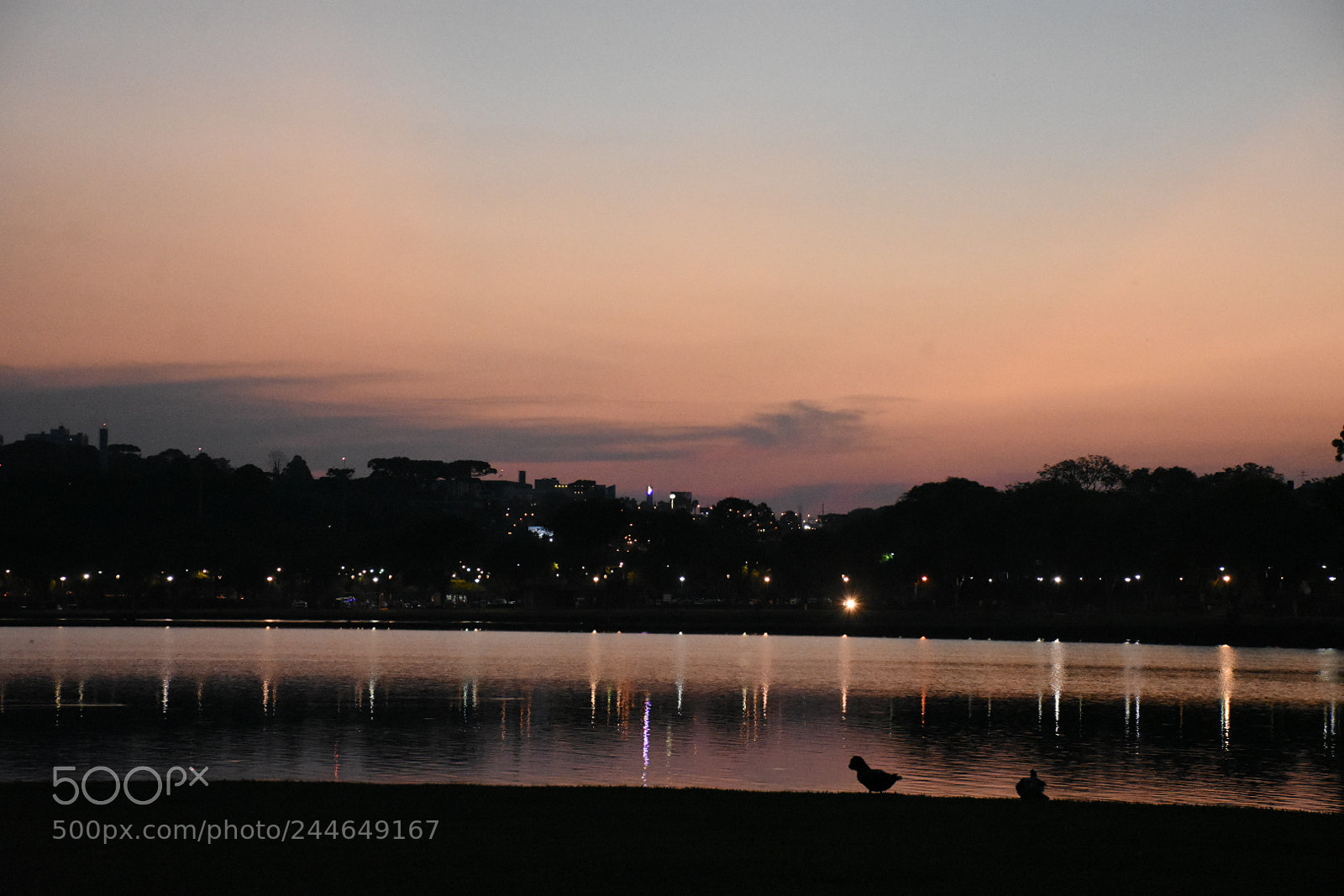 Nikon D7200 sample photo. Untitled photography