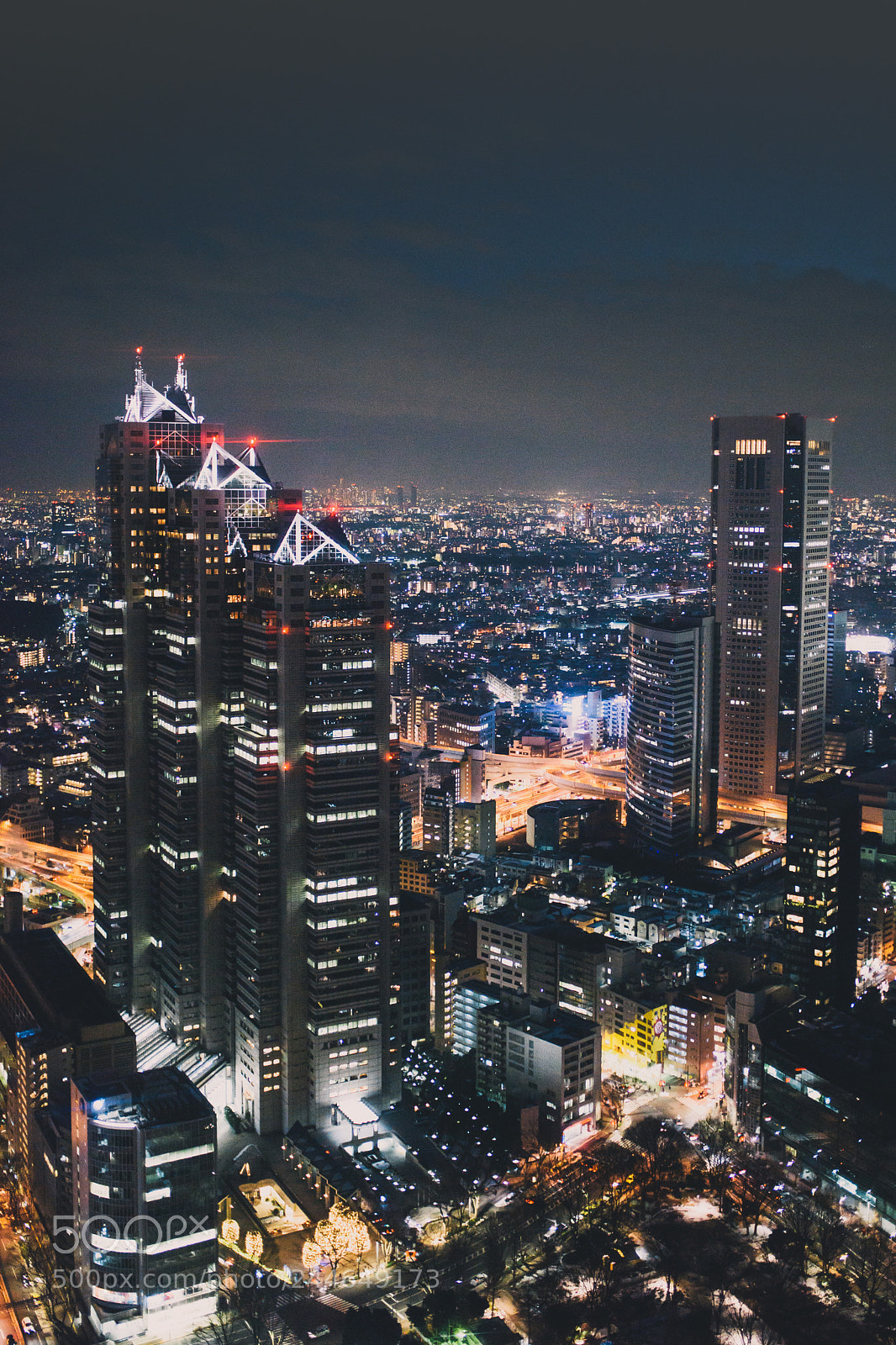 Nikon D810 sample photo. Tokyo photography