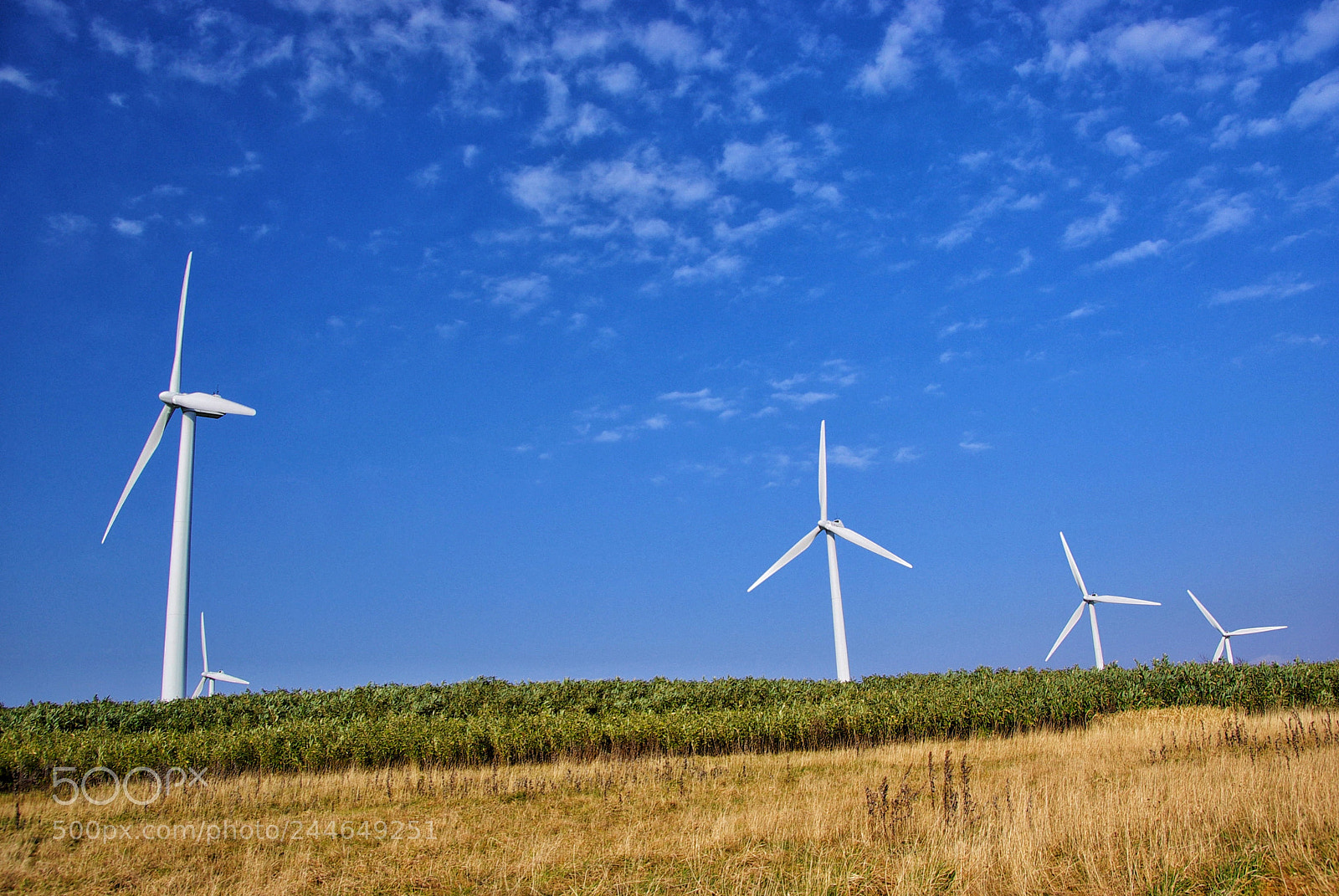 Pentax K10D sample photo. Shimamaki windfarm hokkaido,japan photography