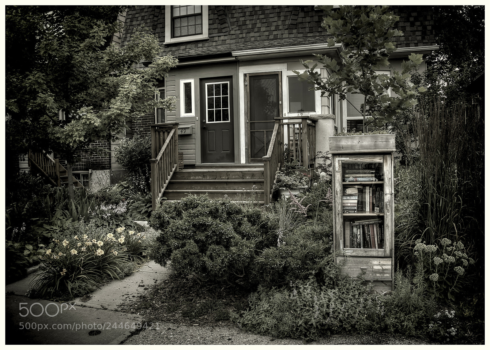 Olympus OM-D E-M10 II sample photo. The front yard library photography