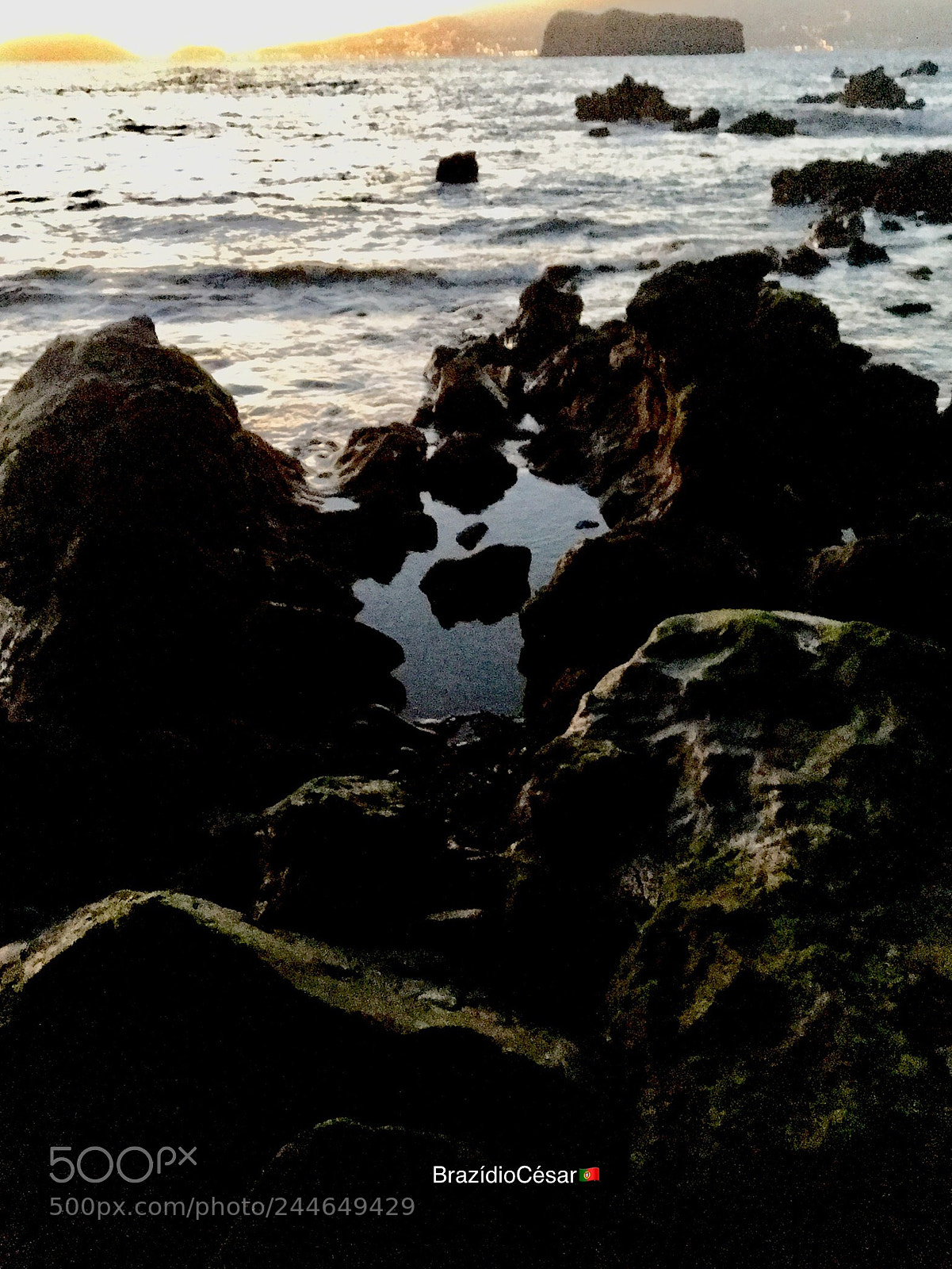 Apple iPhone 6s sample photo. Untitled photography