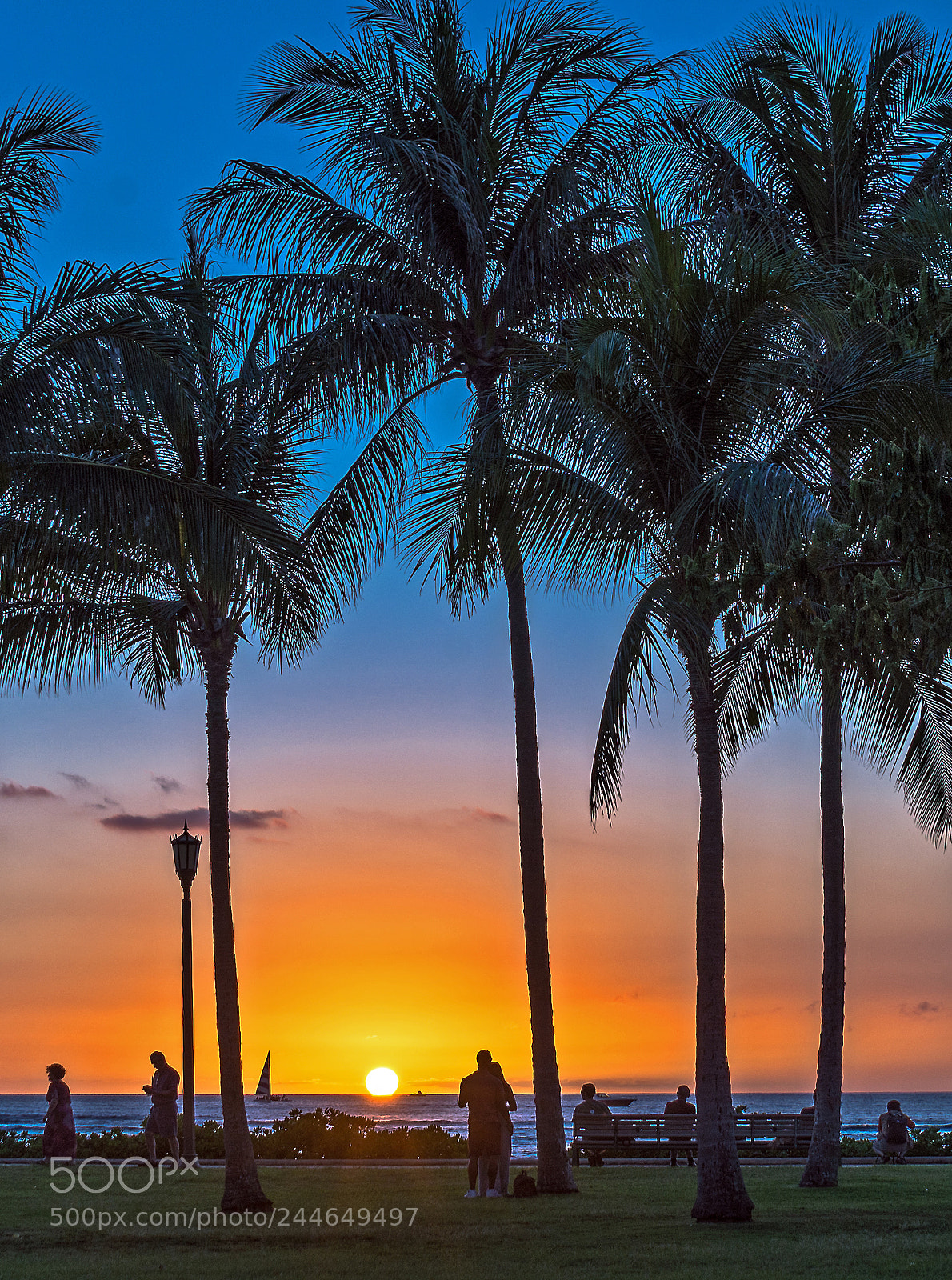 Nikon D610 sample photo. Watching the sunset photography