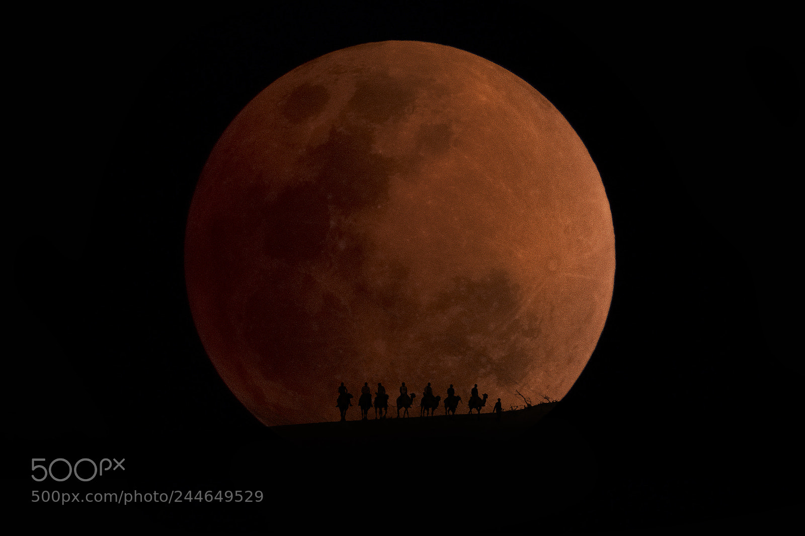 Fujifilm X-T2 sample photo. Super blue blood moon photography