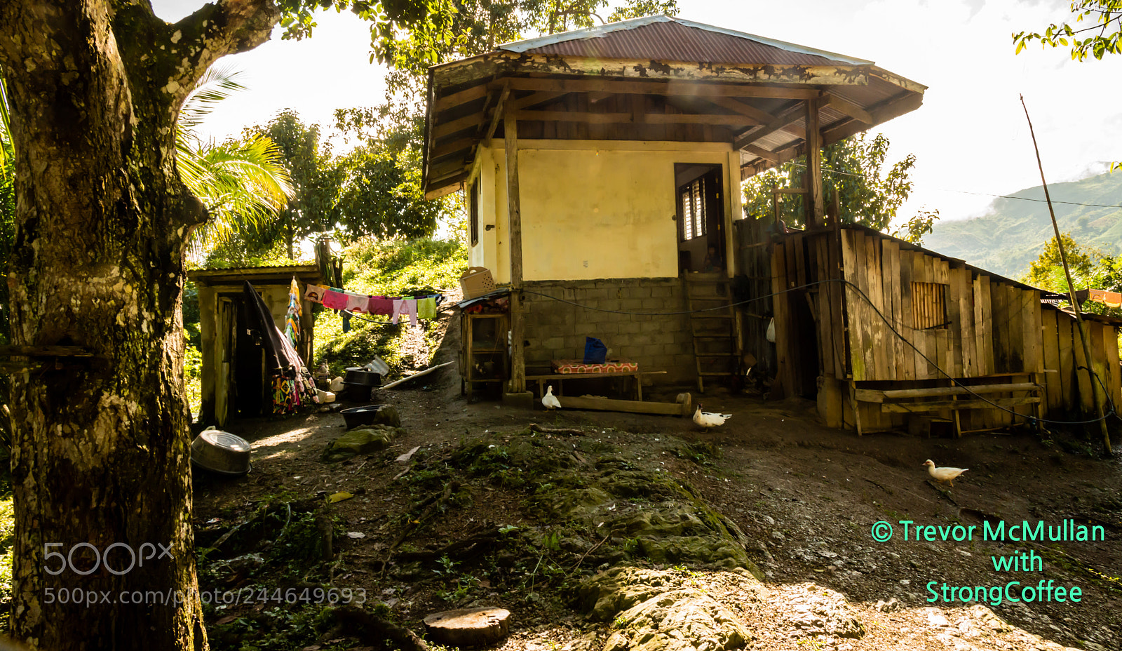 Nikon D800 sample photo. Somebody's home photography
