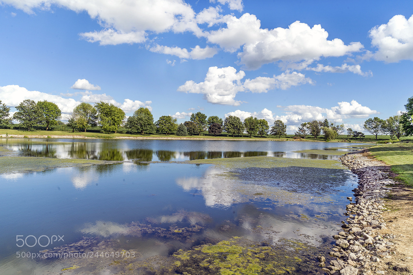 Sony a7 II sample photo. Farm pond with fluffy photography