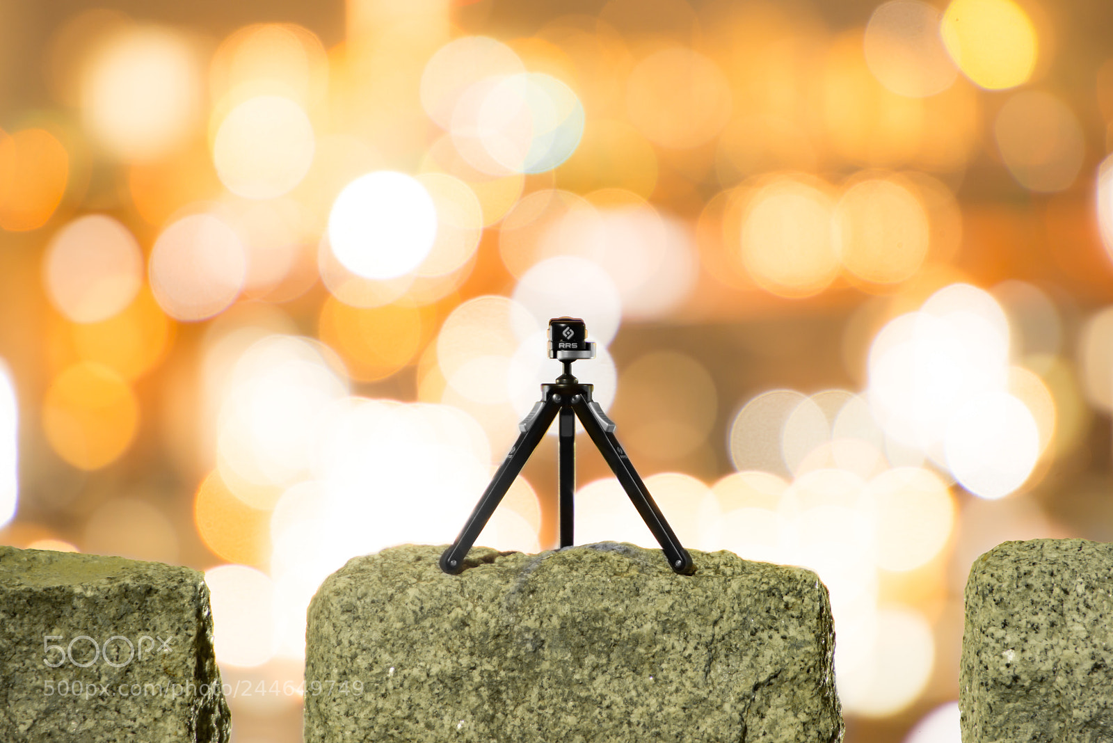 Nikon D610 sample photo. Today's tripod portrait photography