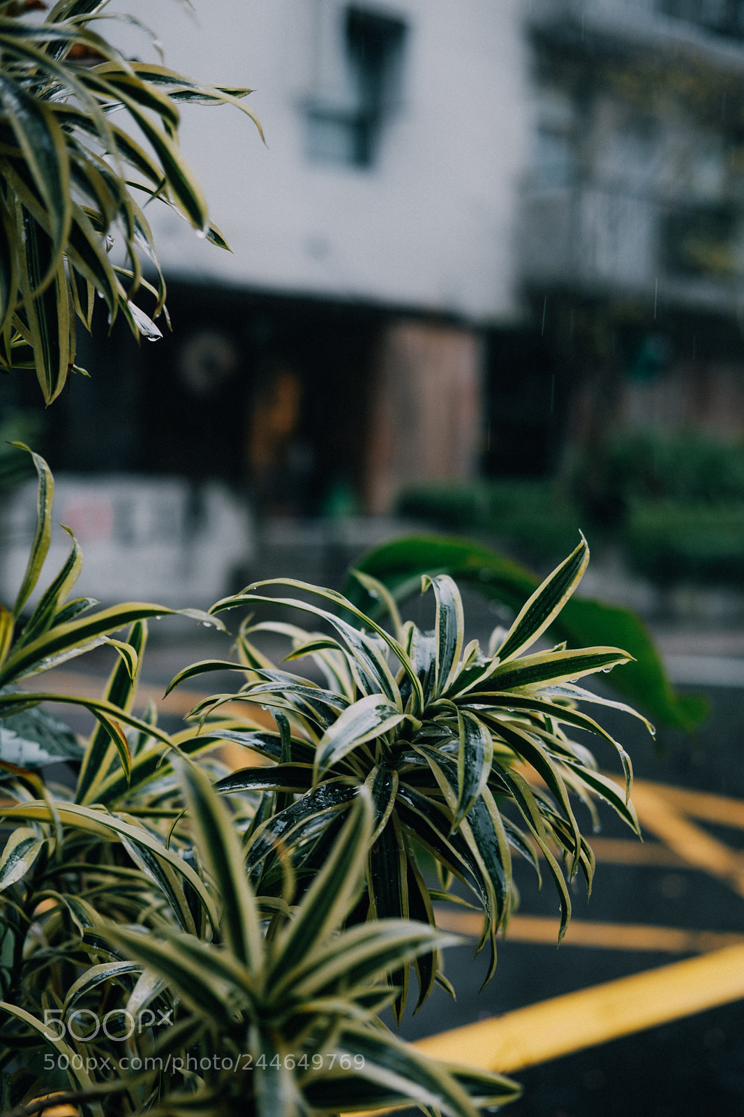 Fujifilm X-T2 sample photo. Taipei life photography