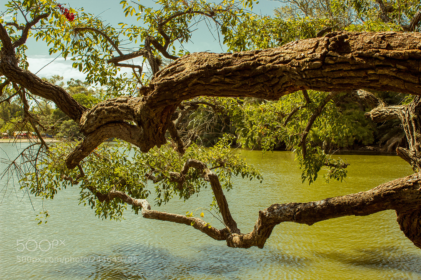 Canon EOS 600D (Rebel EOS T3i / EOS Kiss X5) sample photo. Bosques de palermo photography