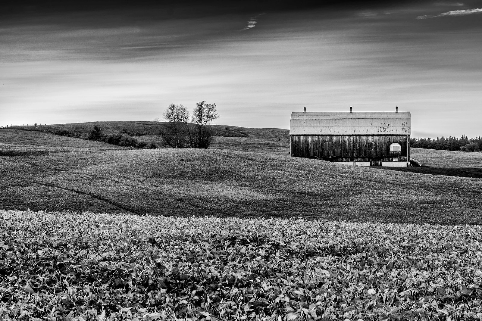 Nikon D7200 sample photo. Paris, ontario photography