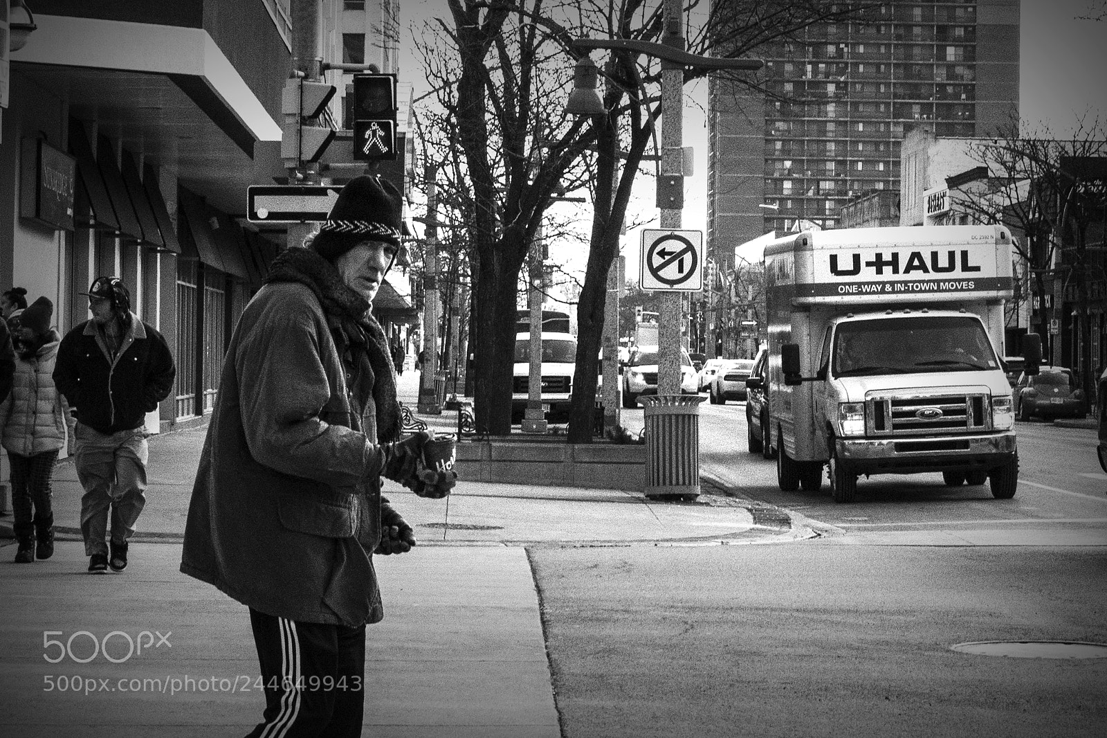 Nikon D500 sample photo. Stare down. windsor, on. photography