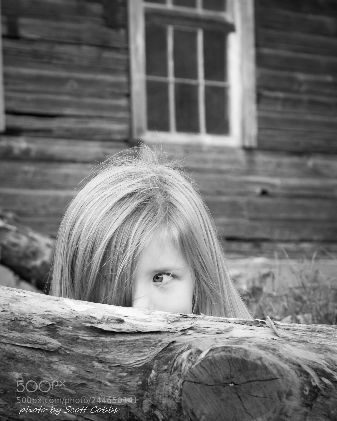 Nikon D7100 sample photo. Sneaky one photography