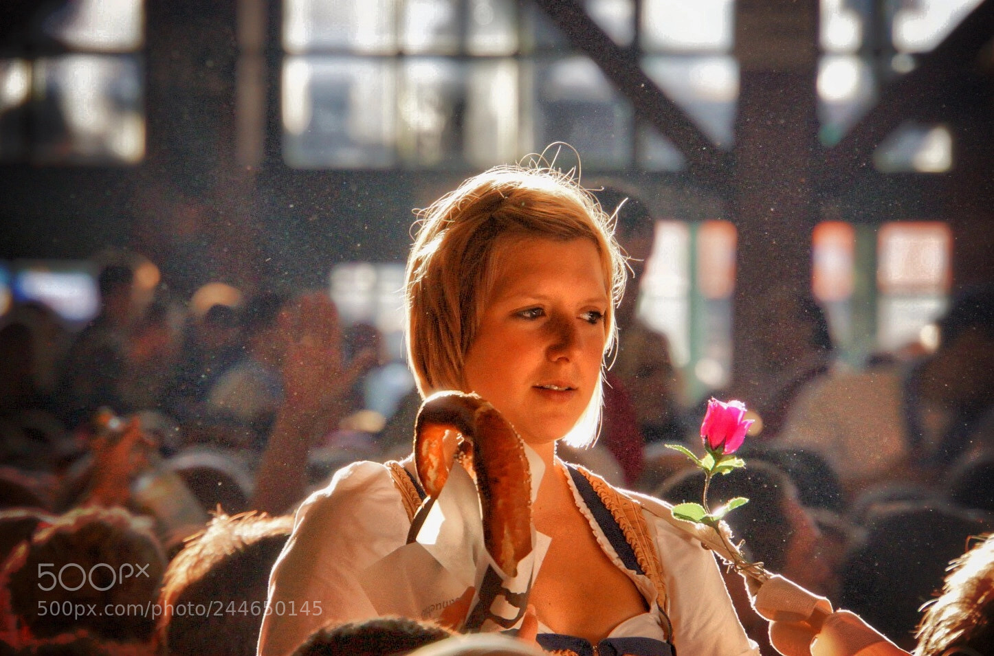 Sony Alpha NEX-7 sample photo. Pretzel rose photography