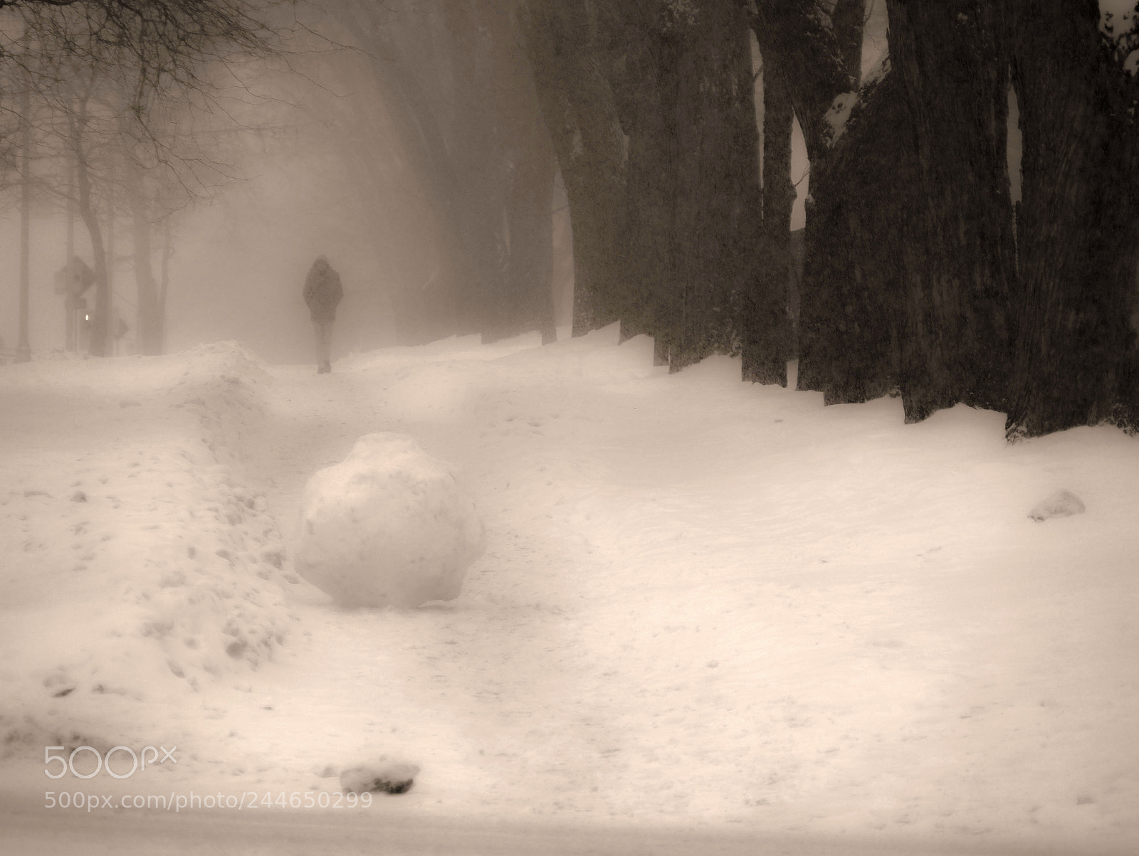 Olympus OM-D E-M10 II sample photo. Bonhomme de neige a photography