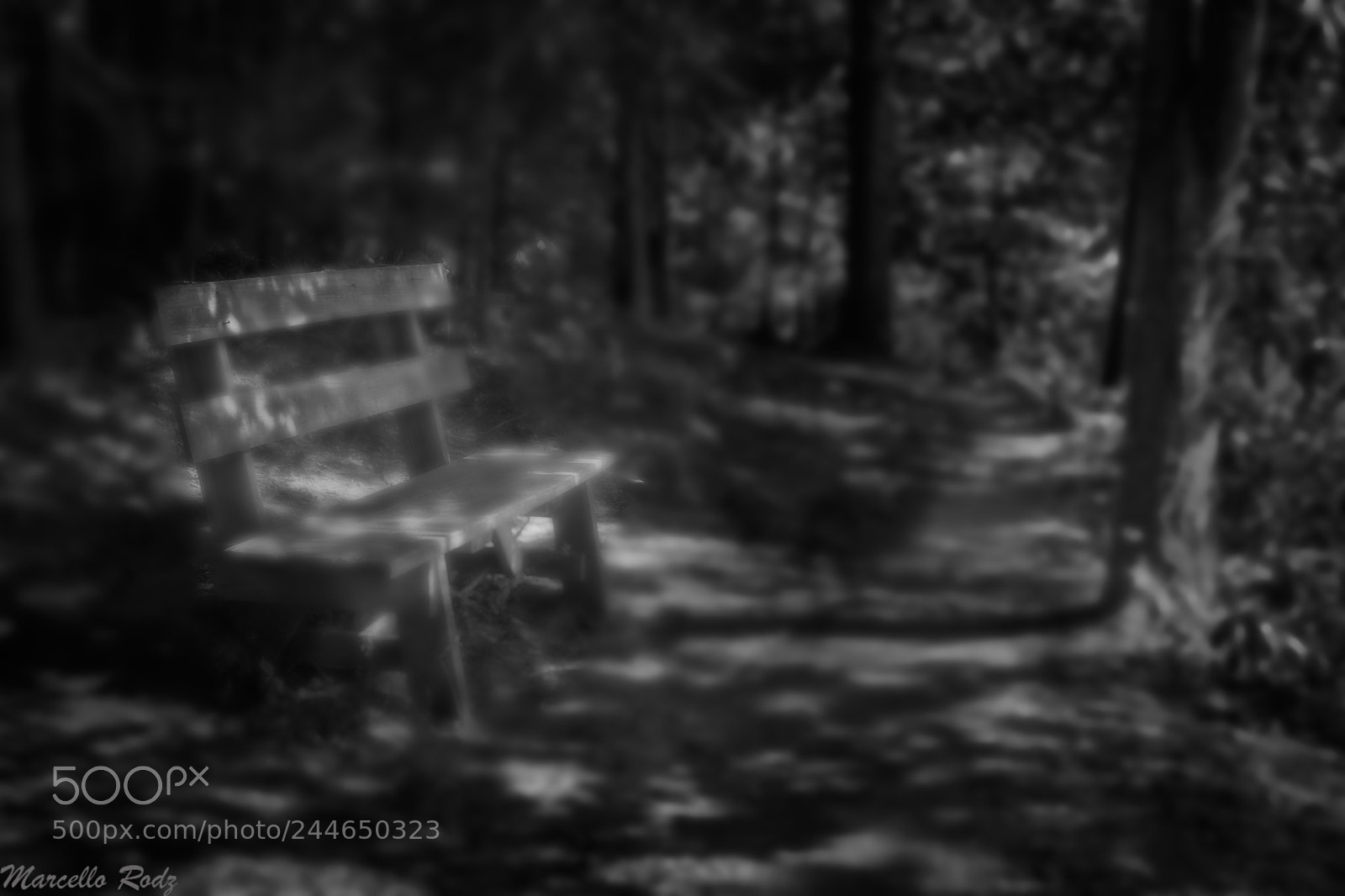 Fujifilm X-T2 sample photo. Dark dreams ii photography