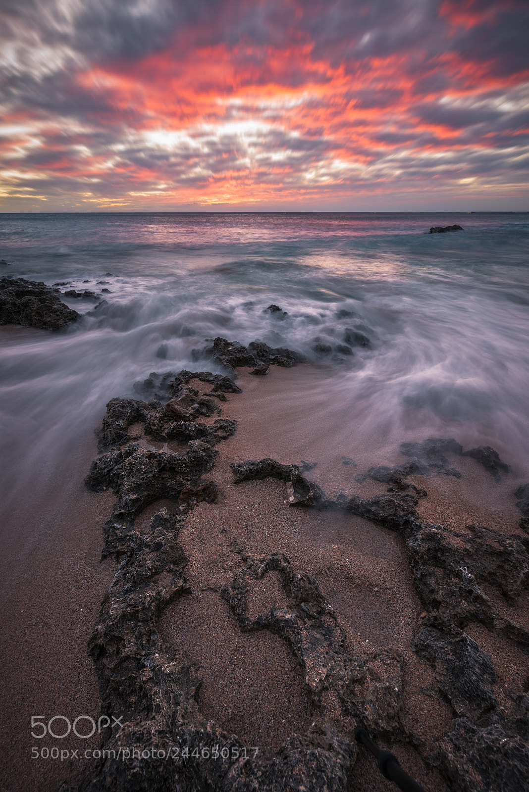 Nikon D810 sample photo. Sharp pink sunset over photography