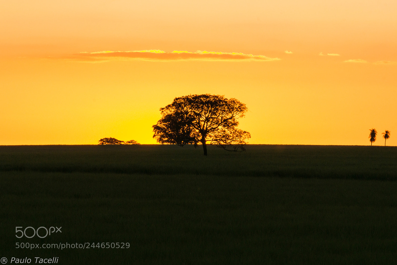 Canon EOS 1200D (EOS Rebel T5 / EOS Kiss X70 / EOS Hi) sample photo. Por do sol photography