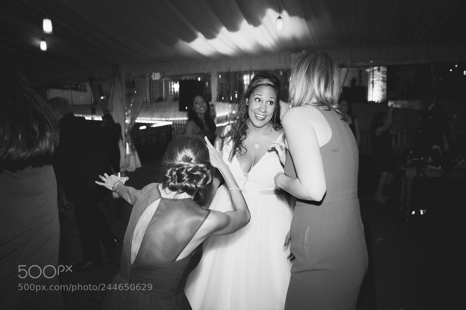 Nikon D3S sample photo. More wedding fun photography