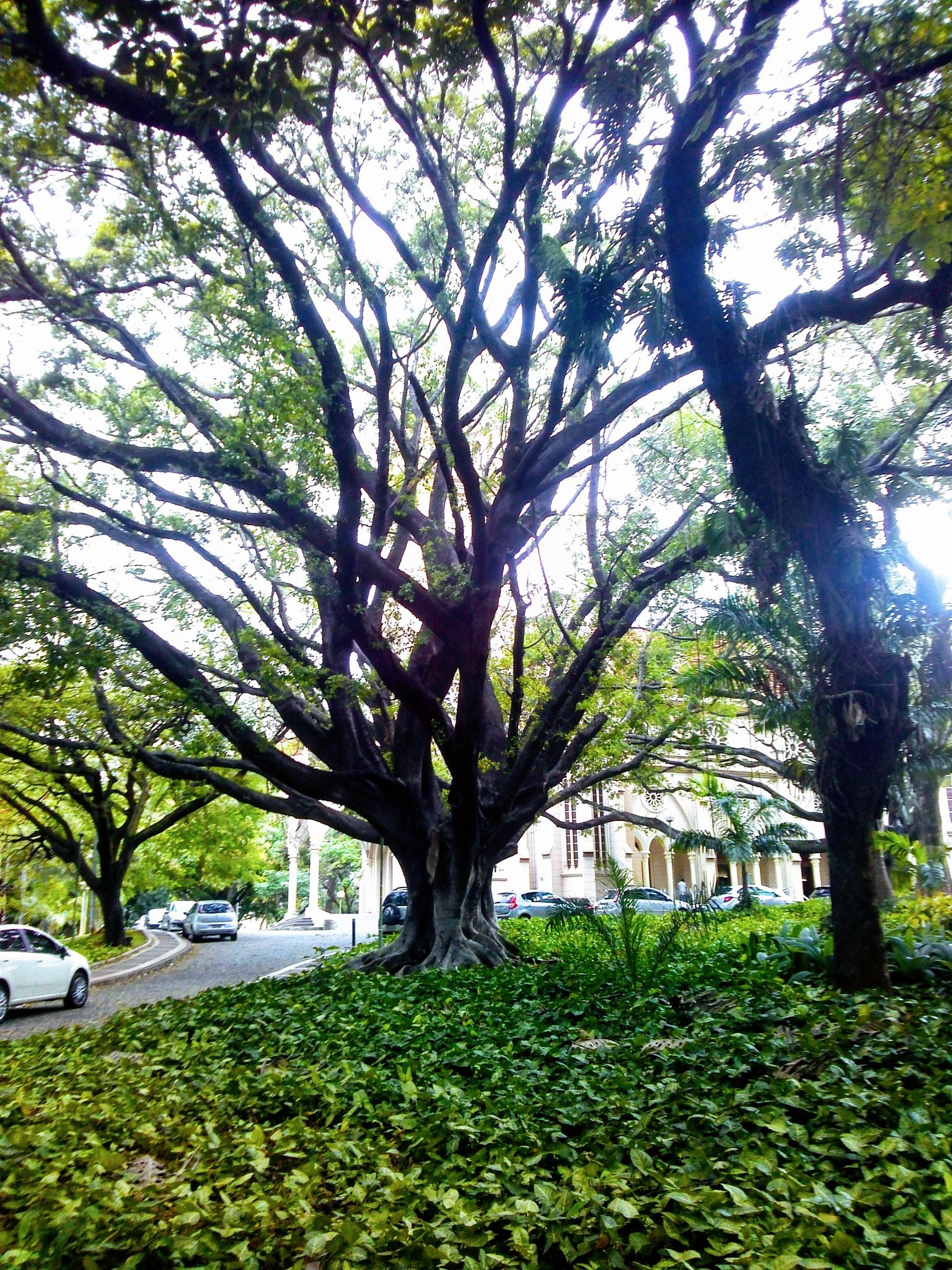 LG Optimus 4X HD sample photo. Igreja da boa viagem ii photography