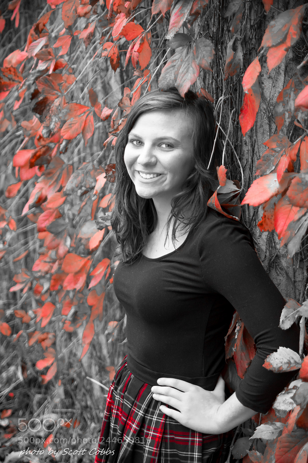 Nikon D7100 sample photo. Rosy red vines photography