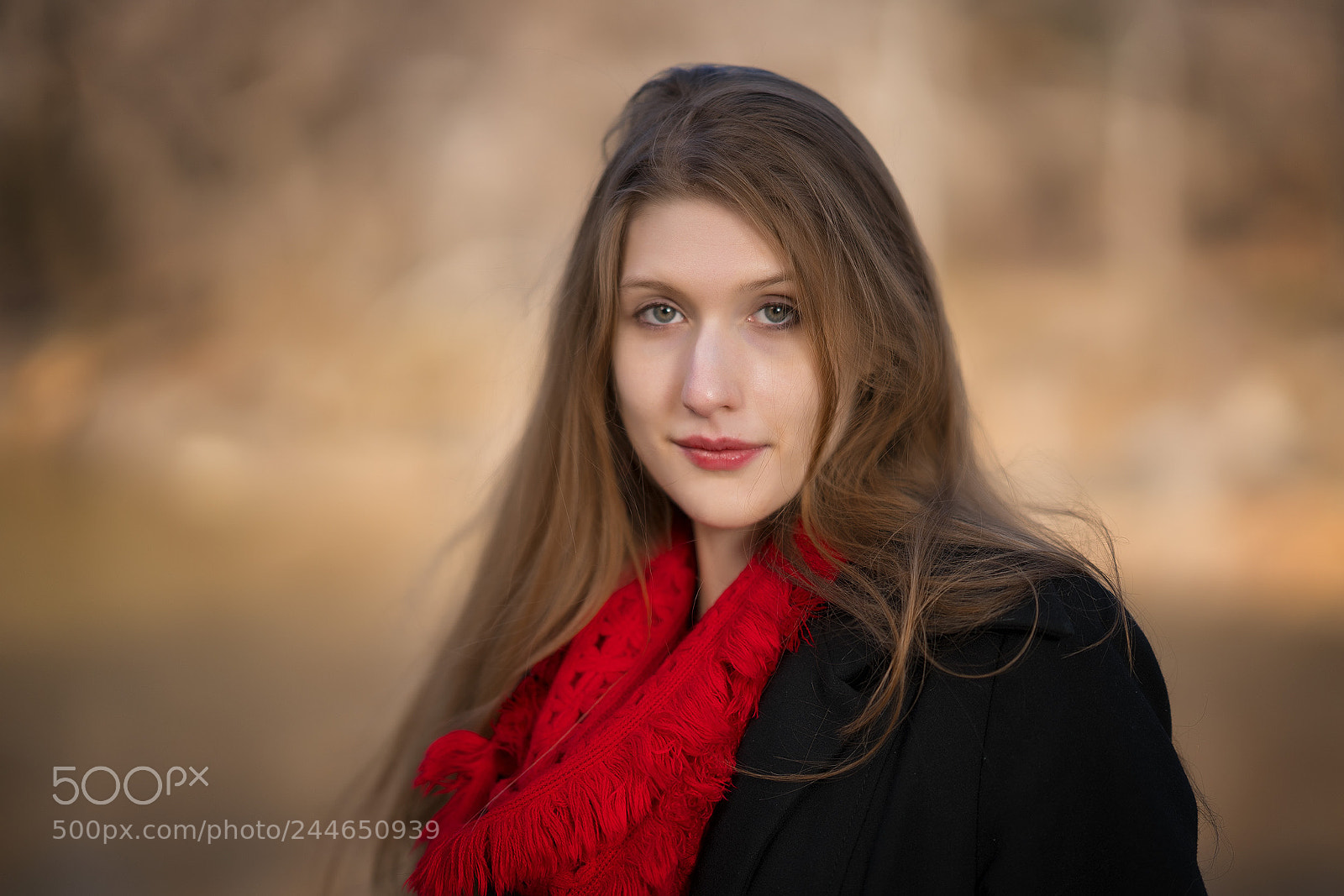 Sony a7R II sample photo. Untitled photography
